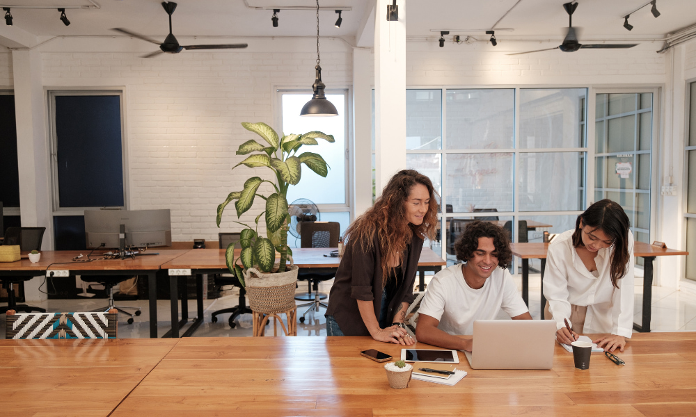 From College Degrees to Real Skills